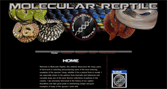 Desktop Screenshot of molecularreptile.com